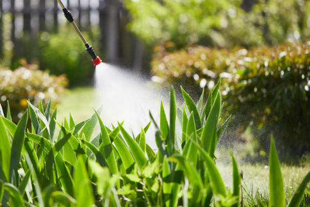 24/7 Emergency Mosquito Control experts in Columbia City, OR