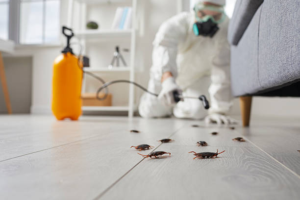Trusted Mosquito Control service in Columbia City, OR - Nex Pest Control