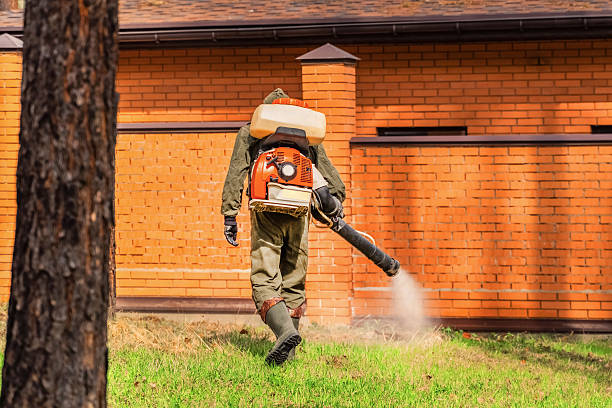 Trusted Emergency Pest Control service in Columbia City, OR - Nex Pest Control